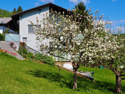 Garten mit Apfelbäumen und Blick auf das Haus Margarethe in Velden am Wörthersee