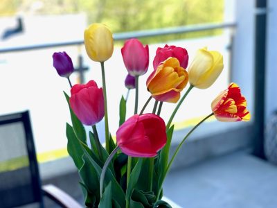 Tulpenstrauß am Terrassentisch der Ferienwohnung Margarethe in Velden am Wörthersee