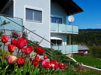 Blick über Tulpen in zu den Balkonen der Ferienwohnung Margarethe in Velden am Wörthersee