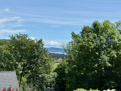 Blick auf den Wörthersee