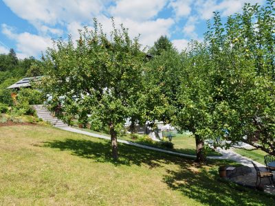 Garten mit Apfelbäumen der Ferienwohnung Margarethe in Velden am Wörthersee