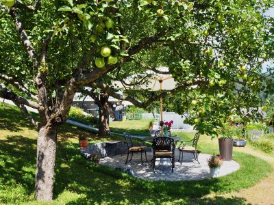 Garten mit Apfelbaum und Laube in der Ferienwohnung Margarethe in Velden am Wörthersee